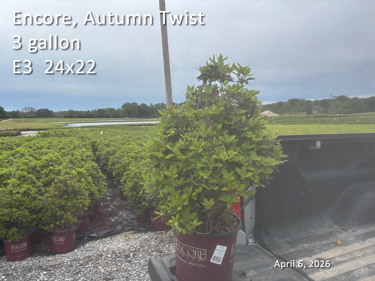 gallery/etwt3 e3 apr6.jpg